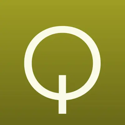 Q STORE, лого-визитка